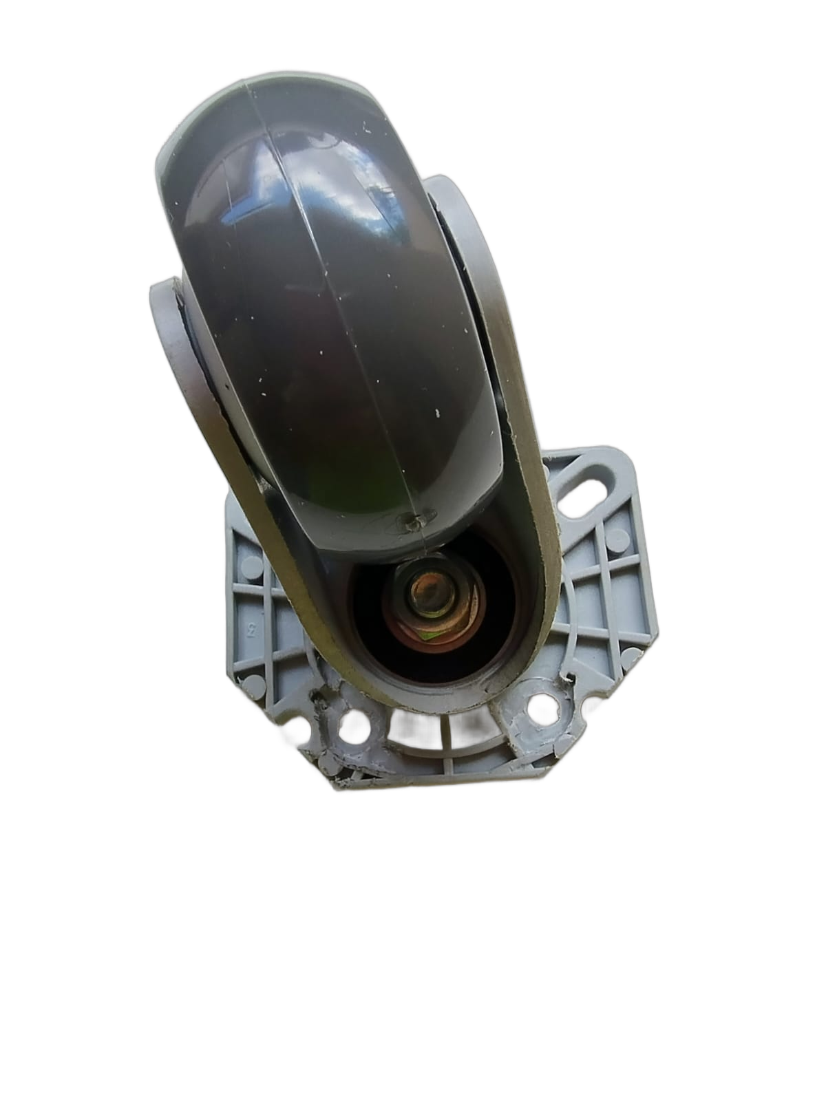 CASTOR WITHOUT PR0FILE
